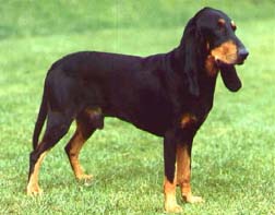  ���������� ������